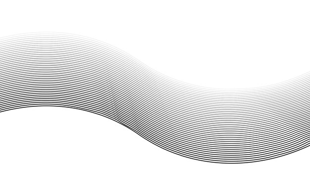 Fondo de textura geométrica de patrón sin costuras de línea negra y blanca para telón de fondo o diseño de tela