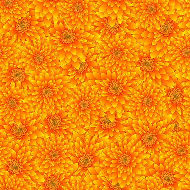 Fondo transparente amarillo crisantemo
