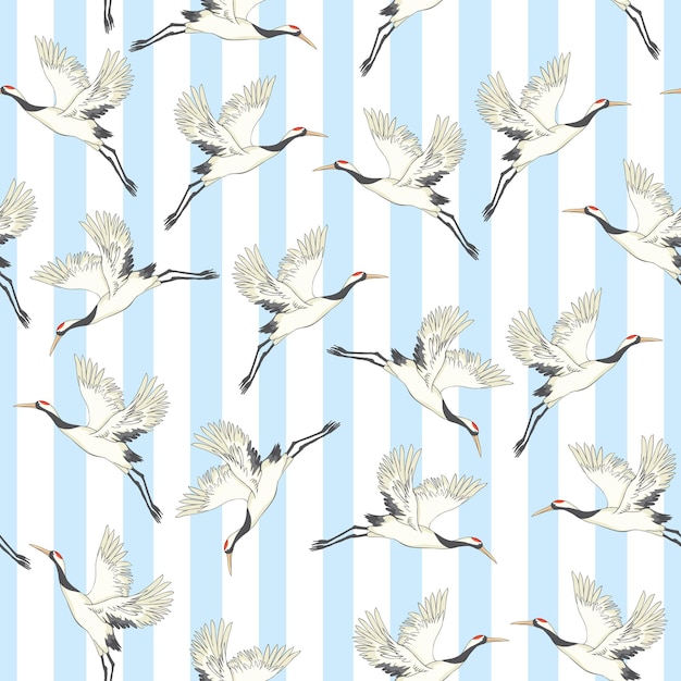 Fondo transparente con aves tropicales Loro cacatúa garza blanca Diseño de color y contorno sobre fondo azul marino Ilustración vectorial Aislado sobre fondo negro