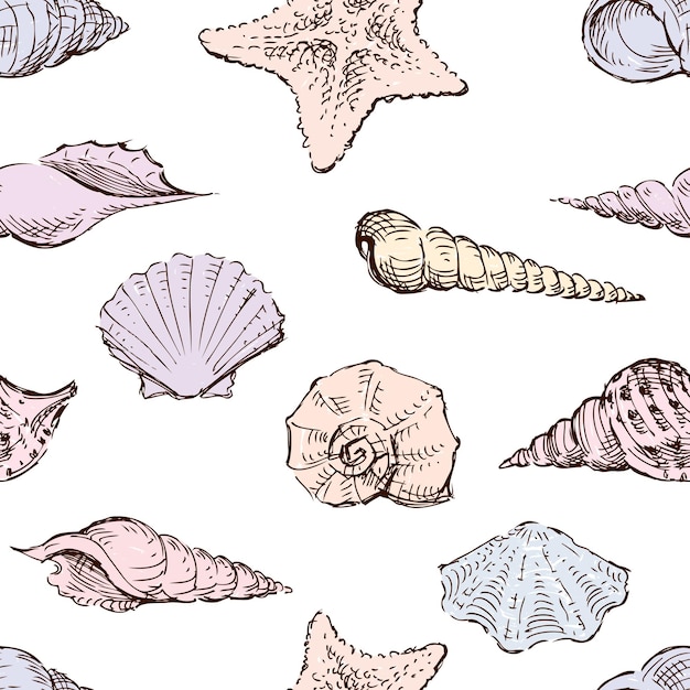 Fondo transparente de los bocetos de conchas marinas