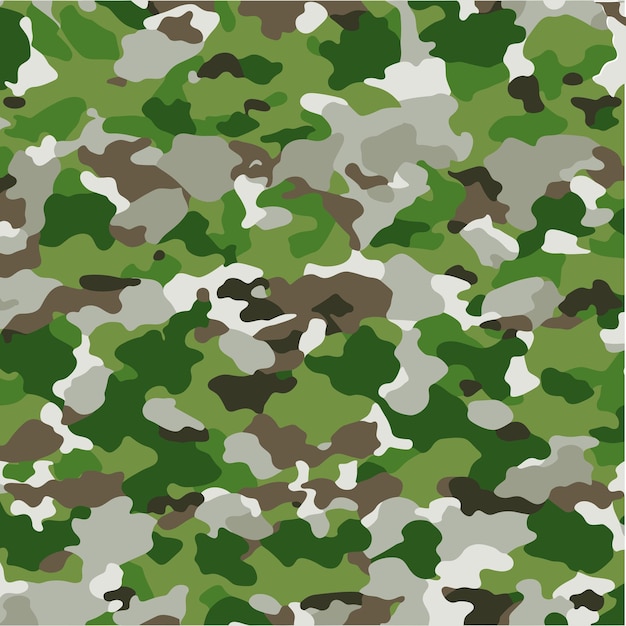 Fondo transparente de camuflaje