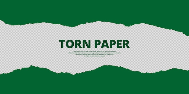 Fondo transparente color verde papel rasgado con efecto de corte rasgado espacio de texto vacío banner horizontal ilustración vectorial