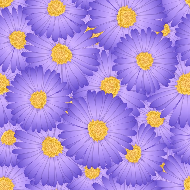 Fondo transparente de daisy flower