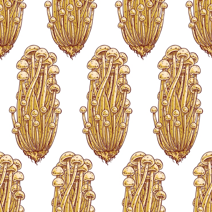 Vector fondo transparente de enokitake. ilustración dibujada a mano