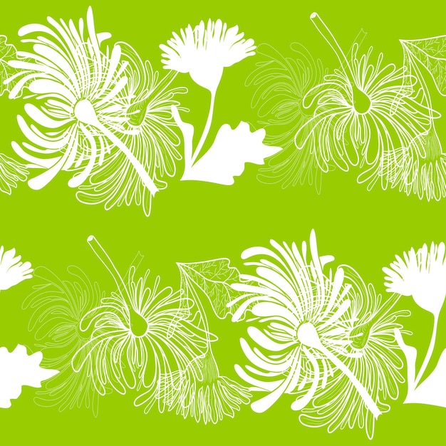 Vector fondo transparente floral