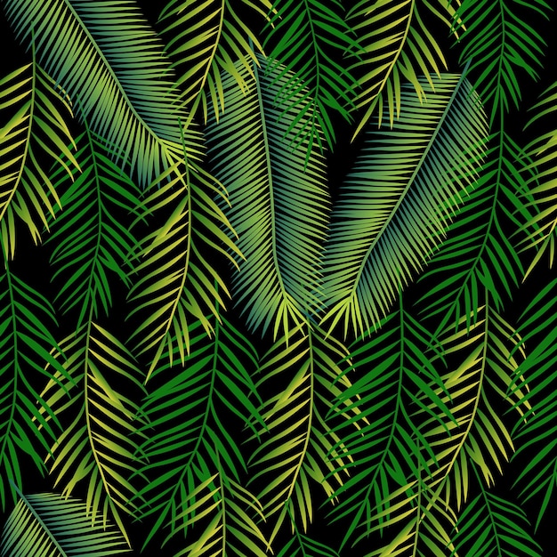 Vector fondo transparente con hojas de palma. patrón de la selva