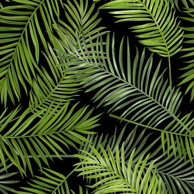 Fondo transparente de hojas de palmera tropical - para diseño, libro de recuerdos