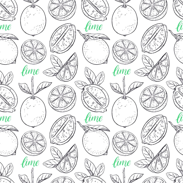 Fondo transparente de limones lindos. ilustración dibujada a mano