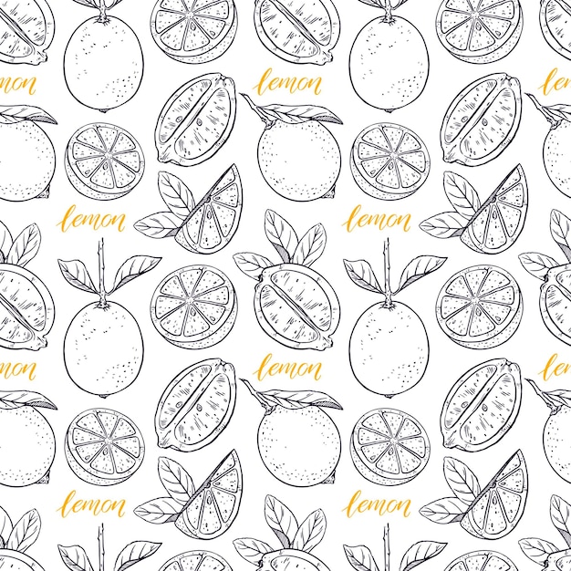fondo transparente de lindos limones. ilustración dibujada a mano