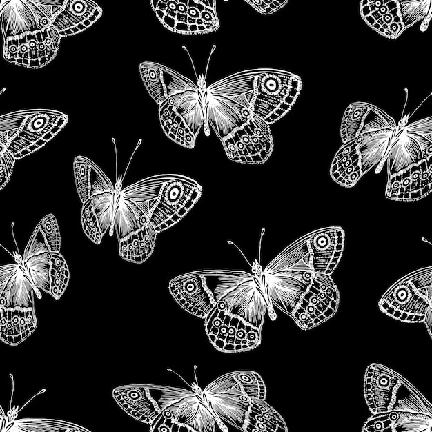 Fondo transparente de las mariposas voladoras