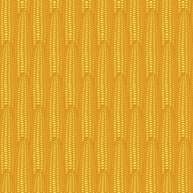 fondo transparente con mazorcas de maíz