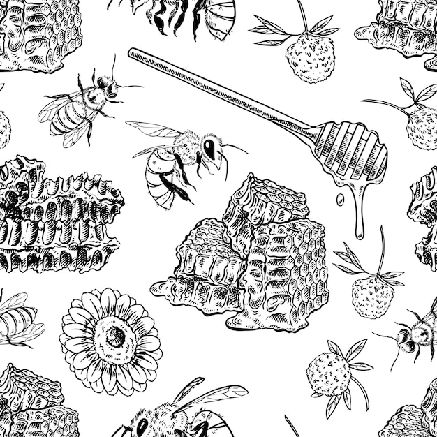fondo transparente de panales, abejas, flores. ilustración dibujada a mano