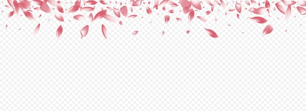 Fondo transparente panorámico del vector de la rosa clara. Textura del viento en flor. Ilustración gráfica del corazón. Felicitaciones de Lotus Japan. Bandera aislada floreciente brillante.