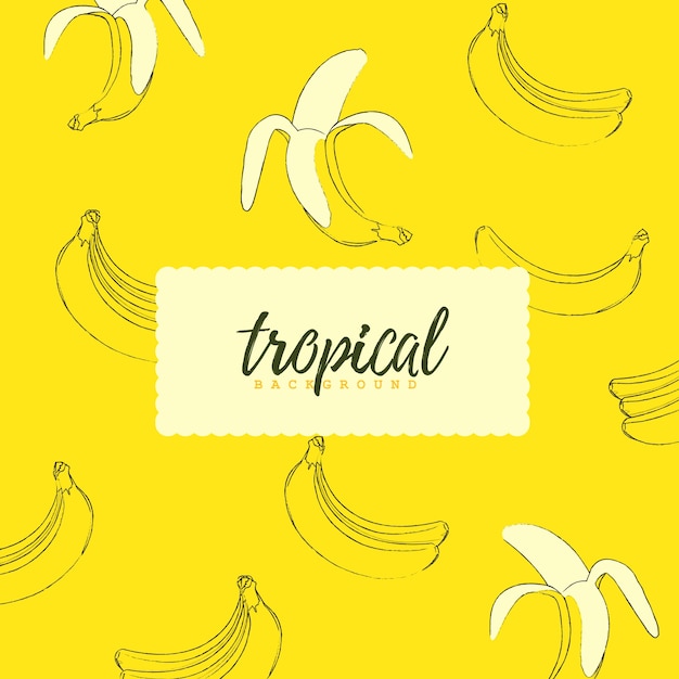 Fondo transparente tropical con plátanos