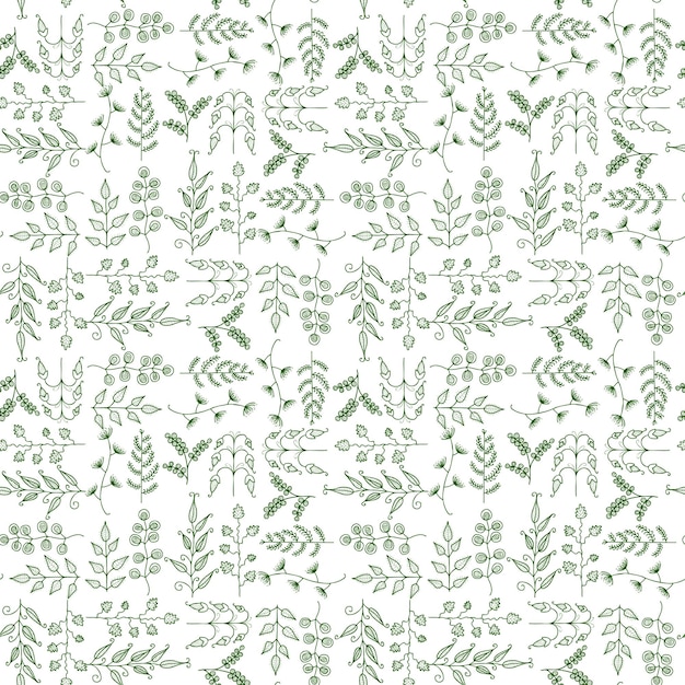 Fondo transparente de varias plantas decorativas de fantasía de dibujos de contorno