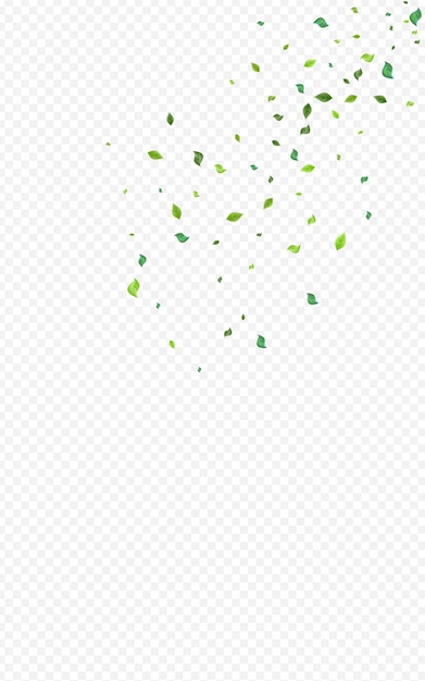 Fondo transparente del vector abstracto de los verdes de la cal. diseño de follaje forestal. ilustración realista de hojas de pantano. telón de fondo de vuelo de hoja.