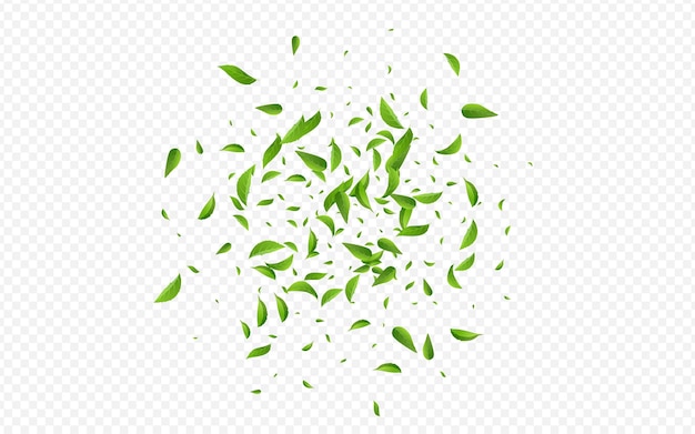 Fondo transparente de vector de desenfoque de hoja de cal