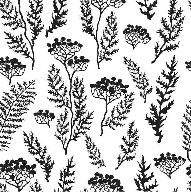 Fondo transparente de vector con ilustración de dibujado a mano de hierbas o plantas negras sobre campo blanco