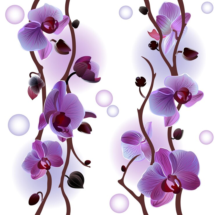 Vector fondo transparente de vector con orquídeas