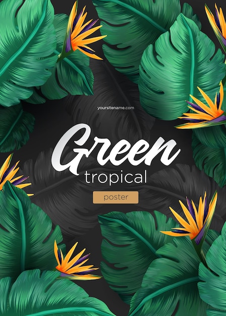 Vector fondo tropical brillante con plantas de la selva patrón exótico con hojas tropicales