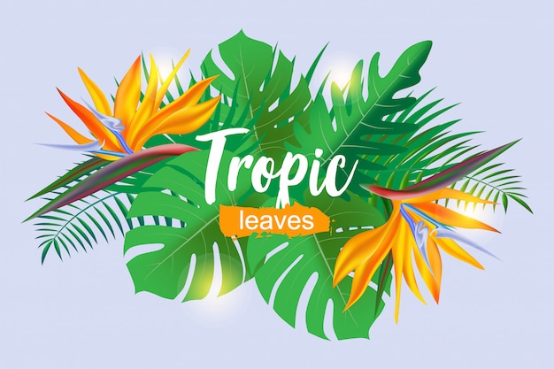 Fondo tropical brillante con plantas de selva.