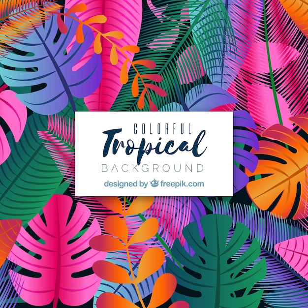 Vector fondo tropical colorido con diseño plano