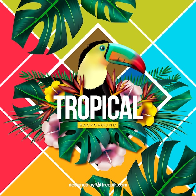 Vector fondo tropical colorido con diseño realista