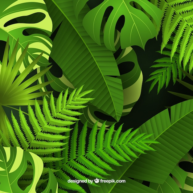 Vector fondo tropical colorido con diseño realista