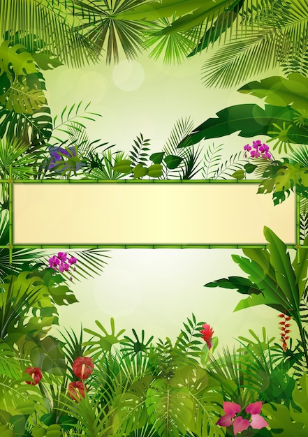 Fondo tropical hermosa
