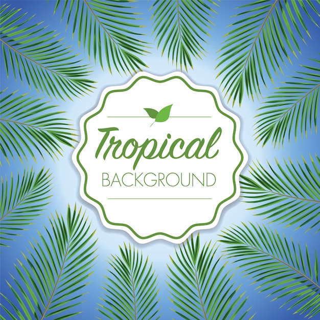 Vector fondo tropical de hoja de coco