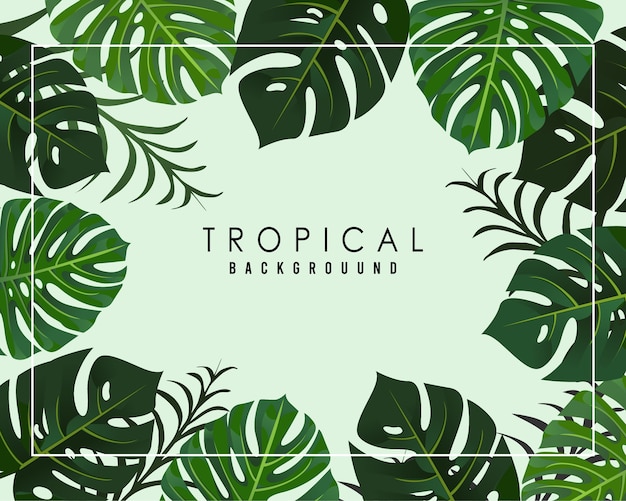 Fondo tropical con hojas de color realista monstera.