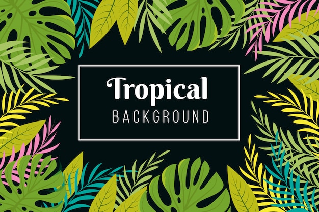 Fondo tropical Marco de hojas de palmera de selva tropical. Selva bosque plantando papel tapiz exótico