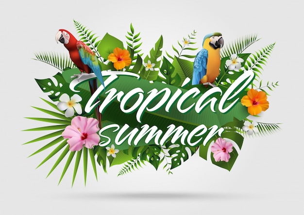 Fondo tropical de moda de verano25