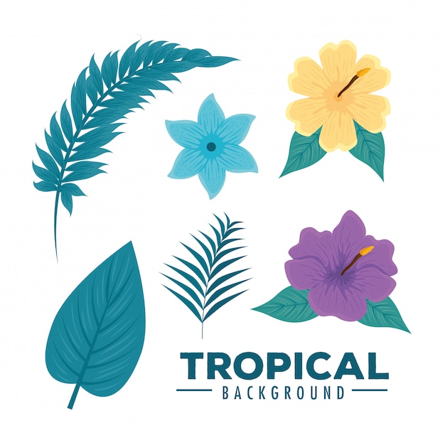 Vector fondo tropical, ramas, hojas, flores e hibisco