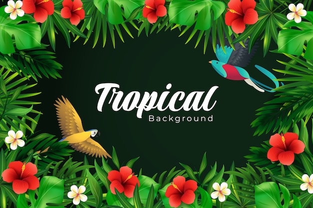 Vector fondo tropical realista