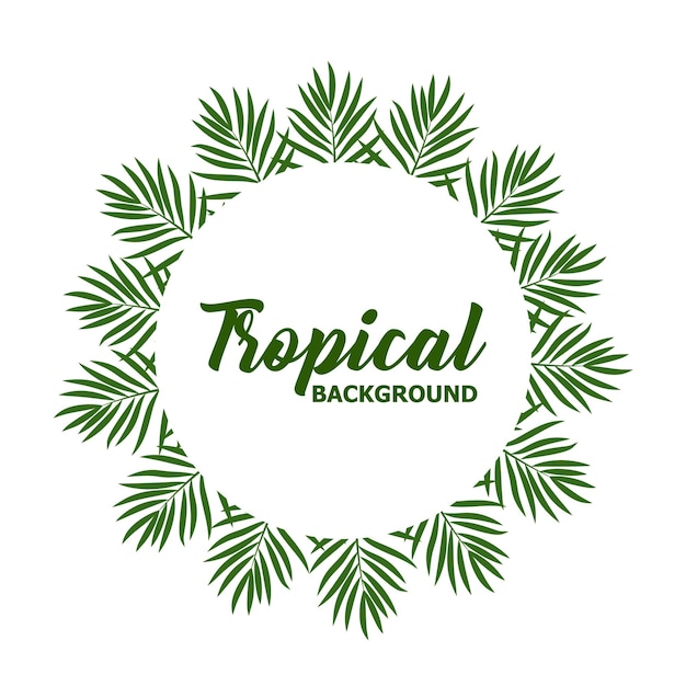 Fondo tropical de verano verde con hojas de palma exóticas y plantas Fondo floral vectorial