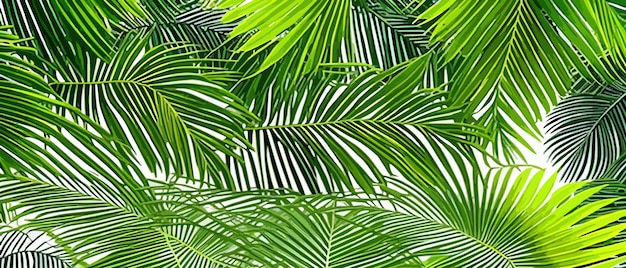Vector fondo tropical verde brillante con plantas de la selva vector patrón exótico con hojas de palma vector