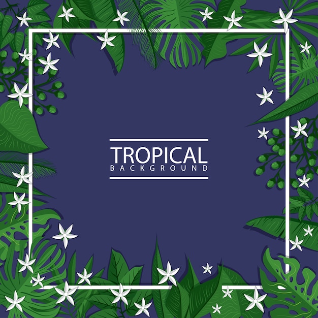 Fondo tropical