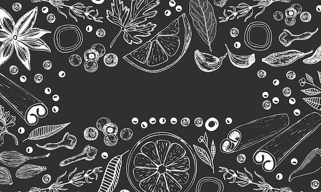 Fondo de vector dibujado mano para cocina: especias, hierbas, frutas.