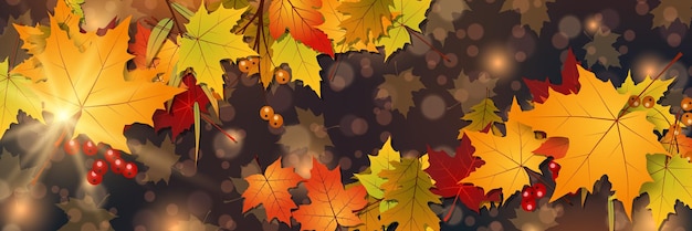 Fondo de vector elegante estilo otoño con hojas coloridas