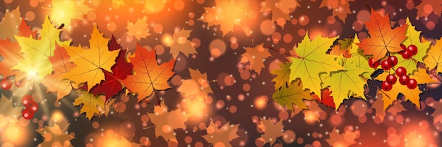 Fondo de vector elegante estilo otoño