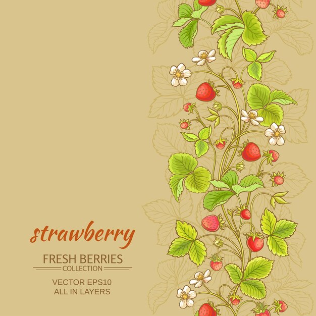 Fondo de vector de fresa