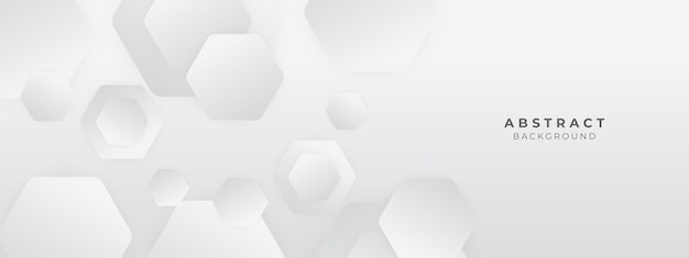Fondo de vector monocromo blanco abstracto para folleto de diseño folleto de sitio web Fondo de pantalla blanco geométrico para página de inicio de presentación de certificado
