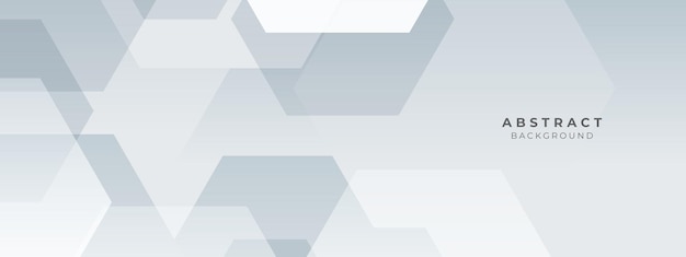 Fondo de vector monocromo blanco abstracto para folleto de diseño folleto de sitio web Fondo de pantalla blanco geométrico para página de inicio de presentación de certificado
