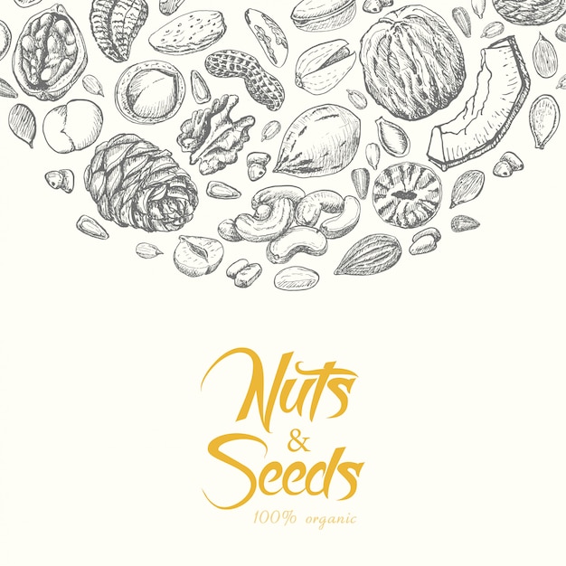 Vector fondo de vector con nueces y semillas