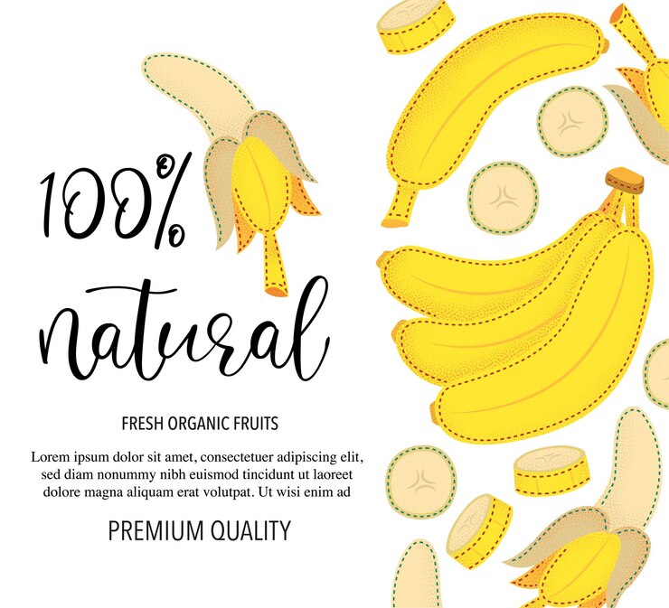 Vector fondo de vector con plátano entero y piezas ilustración aislado sobre fondo blanco