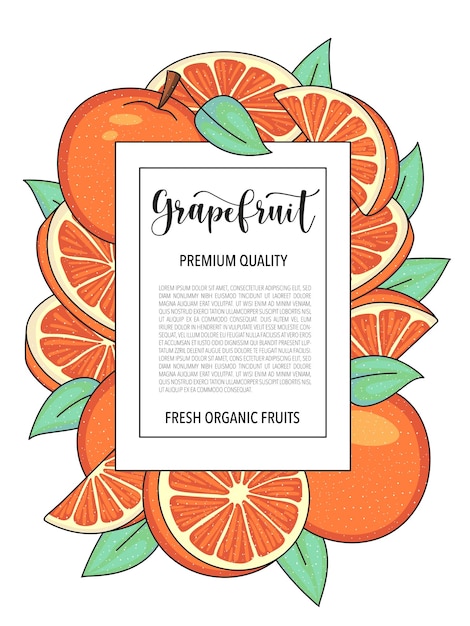 Vector fondo de vector con pomelo entero y piezas diseño de tarjeta con frutas