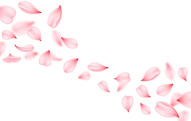 Fondo de vector de sakura voladora Pétalo de cereza rosa