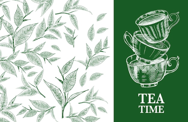 Fondo de Vector de tiempo de té con té verde dibujado a mano