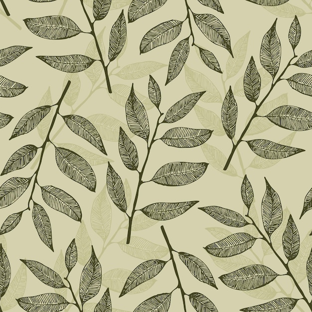 Fondo de vector transparente con hojas dibujadas a mano